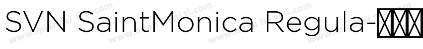 SVN SaintMonica Regula字体转换